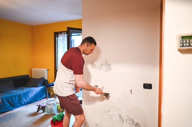 Best Black Mold Remediation in Gower, MO